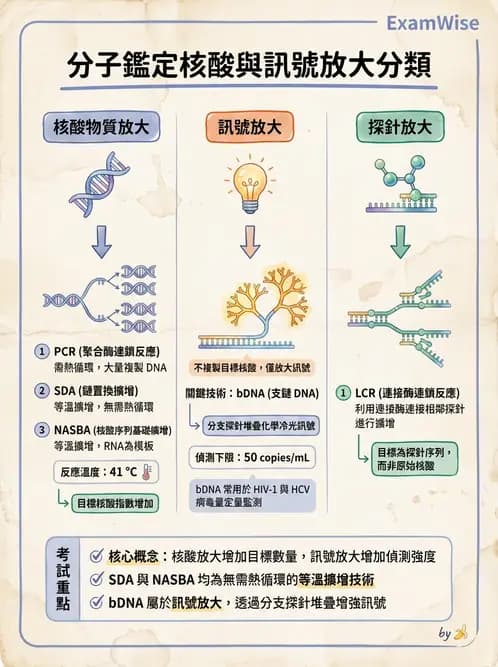 醫檢師 - 感染症分子檢驗 - AI 圖文解析預覽
