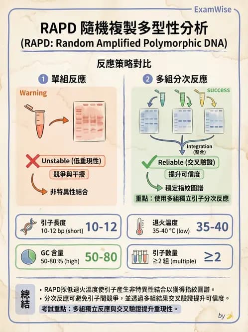 醫檢師 - 感染症分子檢驗 - AI 圖文解析預覽