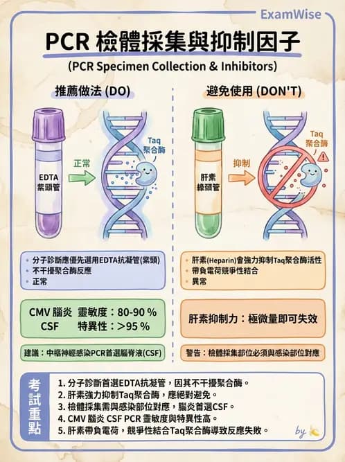 醫檢師 - 感染症分子檢驗 - AI 圖文解析預覽
