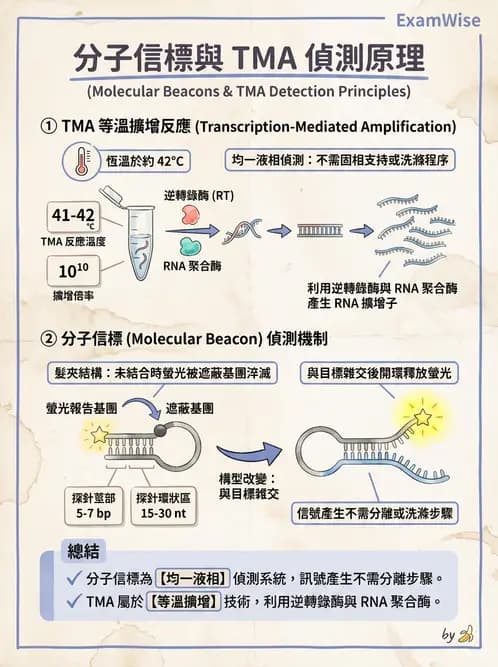醫檢師 - 核酸擴增與萃取技術 - AI 圖文解析預覽
