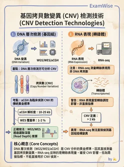 醫檢師 - 腫瘤疾病基因檢測 - AI 圖文解析預覽