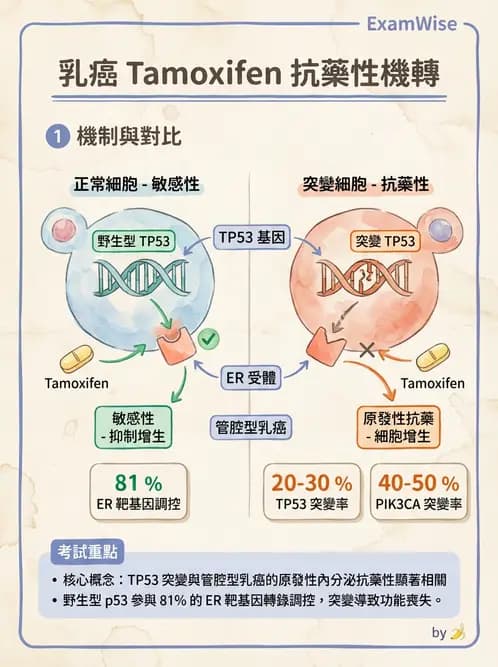 醫檢師 - 腫瘤疾病基因檢測 - AI 圖文解析預覽