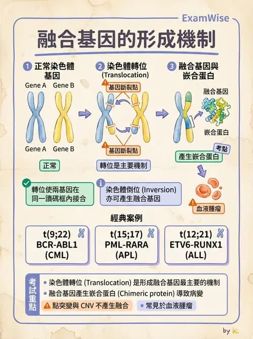 醫檢師 - 腫瘤疾病基因檢測 - AI 圖文解析預覽