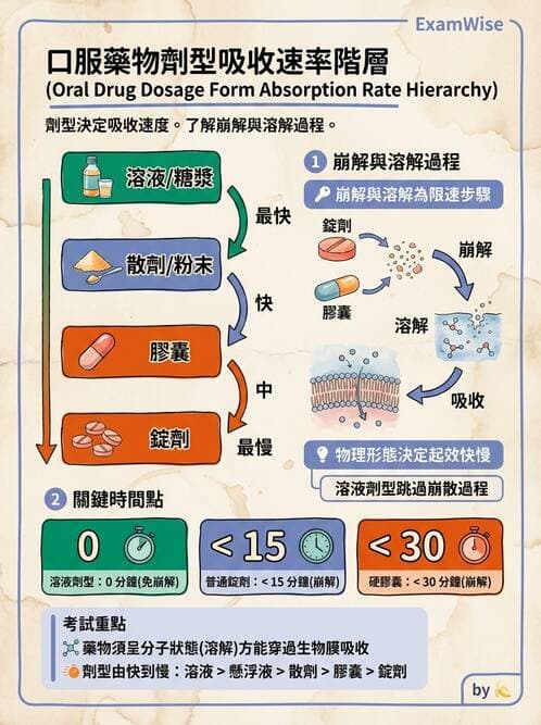 護理師 - 給藥原則與口服給藥 - AI 圖文解析預覽