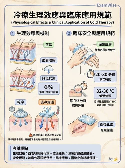 護理師 - 冷熱療法 - AI 圖文解析預覽