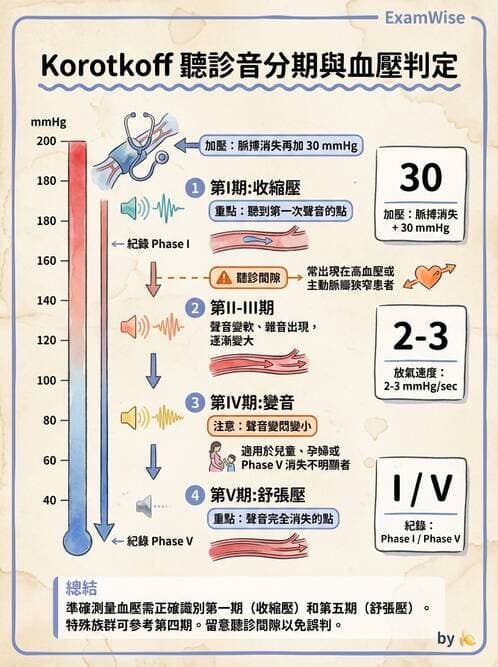 護理師 - 循環評估(脈搏與血壓) - AI 圖文解析預覽