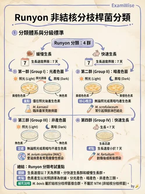 醫檢師 - 分枝桿菌 - AI 圖文解析預覽