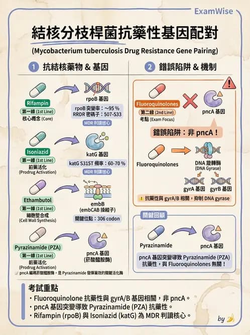 醫檢師 - 分枝桿菌 - AI 圖文解析預覽