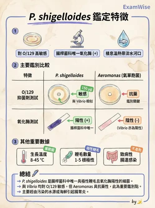 醫檢師 - 弧菌、氣單胞菌與彎曲菌 - AI 圖文解析預覽