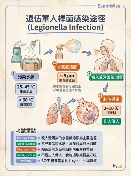 醫檢師 - 奈瑟菌與挑剔性革蘭氏陰性菌 - AI 圖文解析預覽