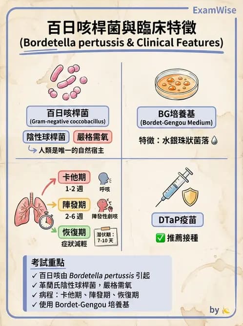 醫檢師 - 奈瑟菌與挑剔性革蘭氏陰性菌 - AI 圖文解析預覽