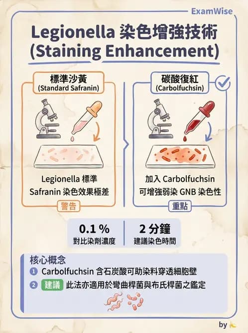 醫檢師 - 奈瑟菌與挑剔性革蘭氏陰性菌 - AI 圖文解析預覽