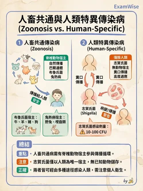 醫檢師 - 感染症與院內感染 - AI 圖文解析預覽