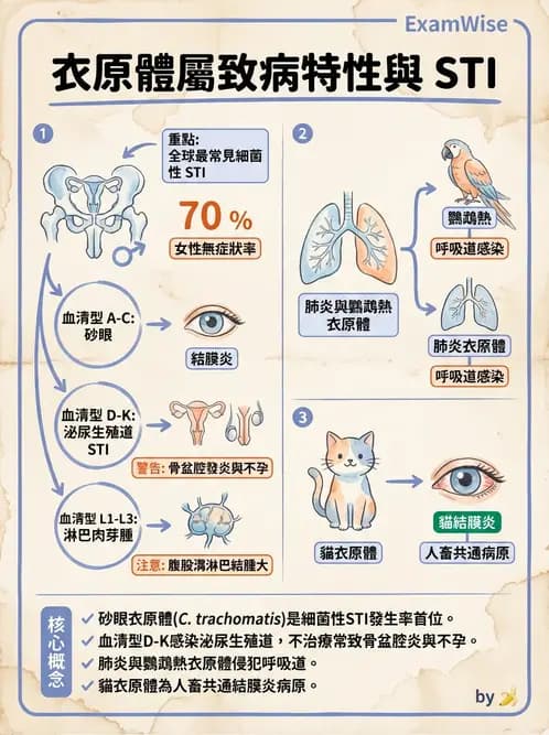 醫檢師 - 特殊病原體 - AI 圖文解析預覽