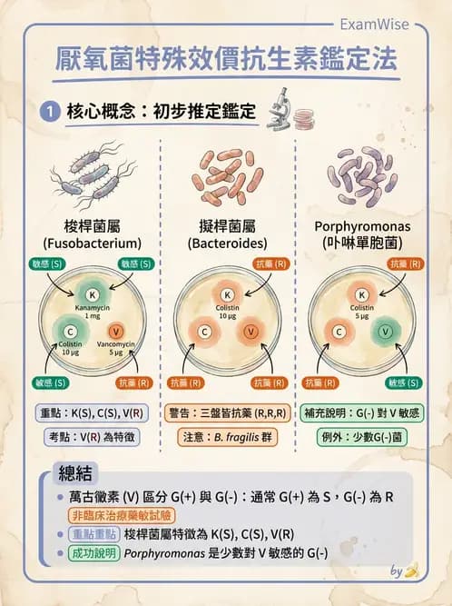 醫檢師 - 厭氧菌 - AI 圖文解析預覽