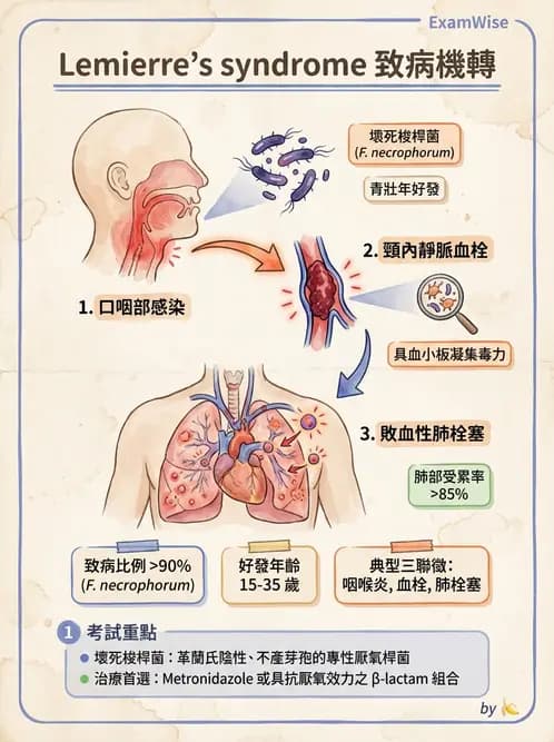 醫檢師 - 厭氧菌 - AI 圖文解析預覽