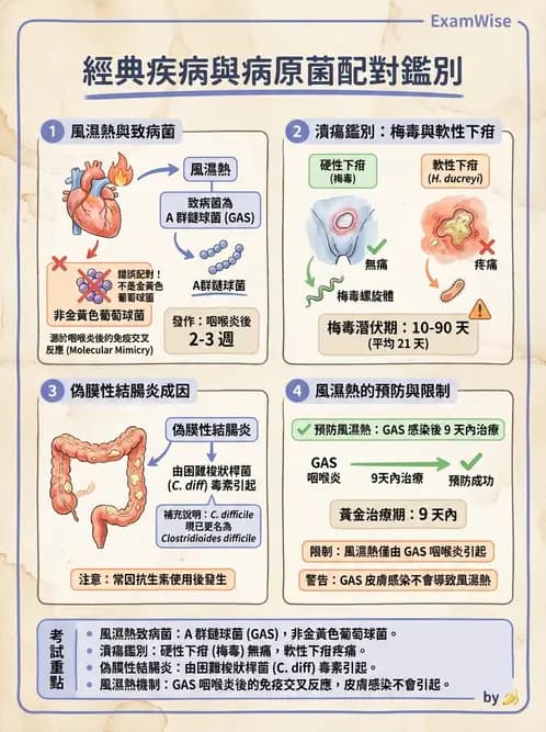 醫檢師 - 綜合性試題 - AI 圖文解析預覽