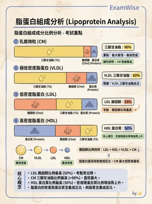 醫檢師 - 脂蛋白分類與臨床應用 - AI 圖文解析預覽