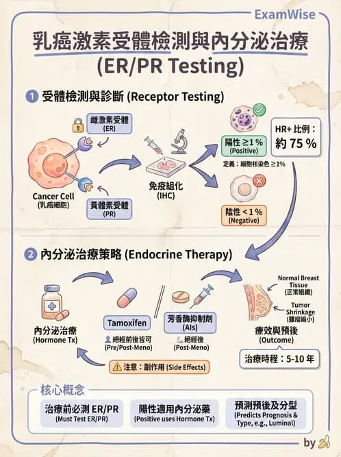 醫檢師 - 腫瘤標誌 - AI 圖文解析預覽