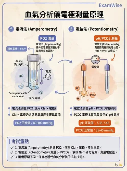 醫檢師 - 基本概念與儀器分析 - AI 圖文解析預覽