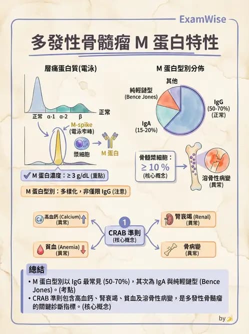 醫檢師 - 血清蛋白與蛋白質檢測 - AI 圖文解析預覽