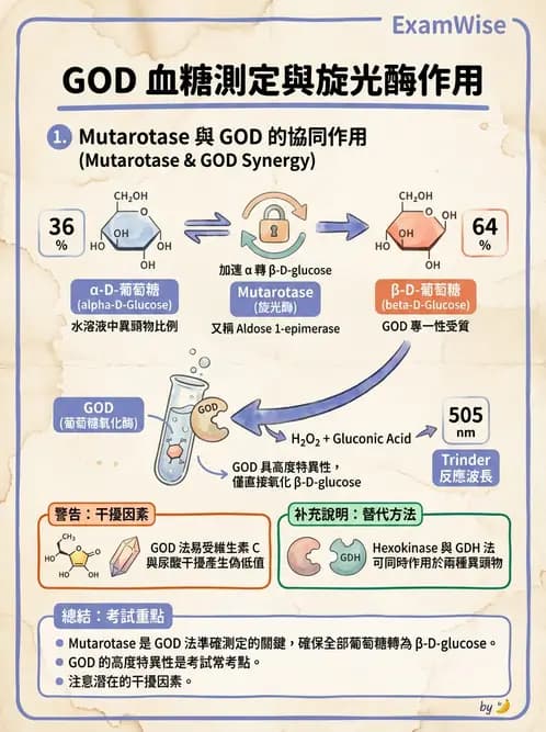 醫檢師 - 醣類代謝與糖尿病 - AI 圖文解析預覽