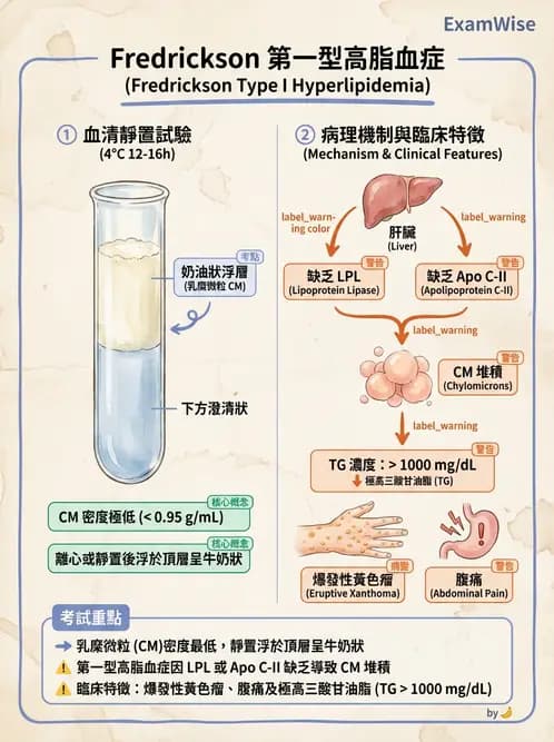 醫檢師 - 脂蛋白分類與臨床應用 - AI 圖文解析預覽