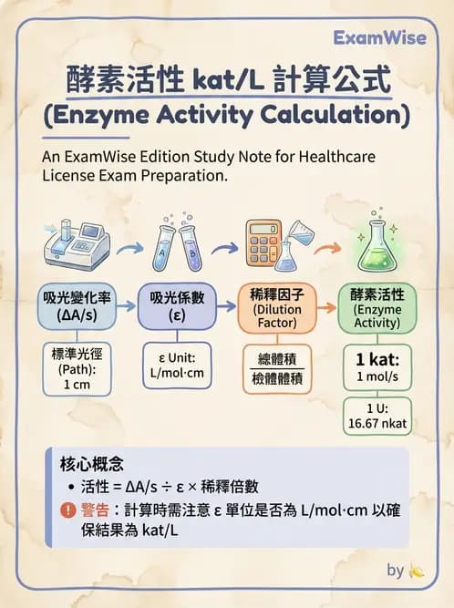 醫檢師 - 臨床酵素學基礎 - AI 圖文解析預覽