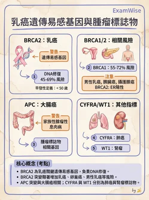 醫檢師 - 腫瘤標誌 - AI 圖文解析預覽