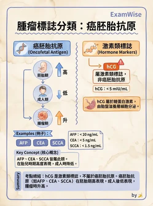 醫檢師 - 腫瘤標誌 - AI 圖文解析預覽