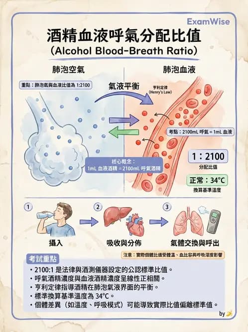 醫檢師 - 治療藥物監測與毒物學 - AI 圖文解析預覽