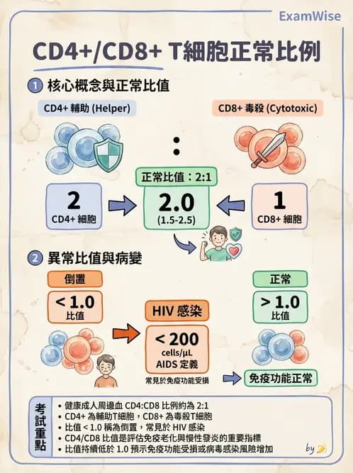 醫檢師 - T細胞發育與功能 - AI 圖文解析預覽