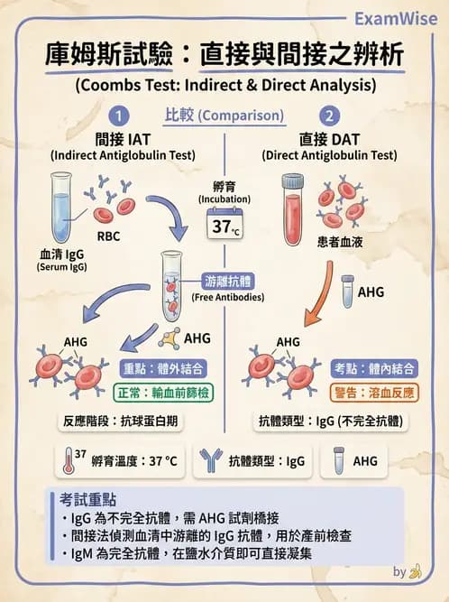 醫檢師 - 實驗室測試免疫法 - AI 圖文解析預覽