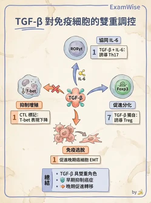 醫檢師 - 細胞激素與抗原呈獻 - AI 圖文解析預覽