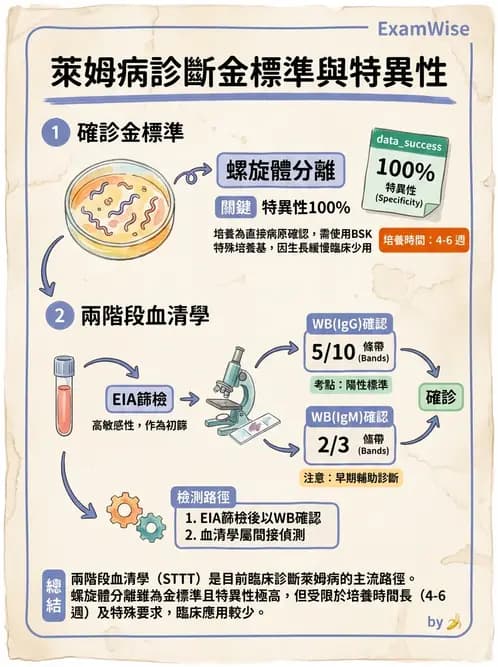 醫檢師 - 急性發炎蛋白與微生物感染血清學 - AI 圖文解析預覽