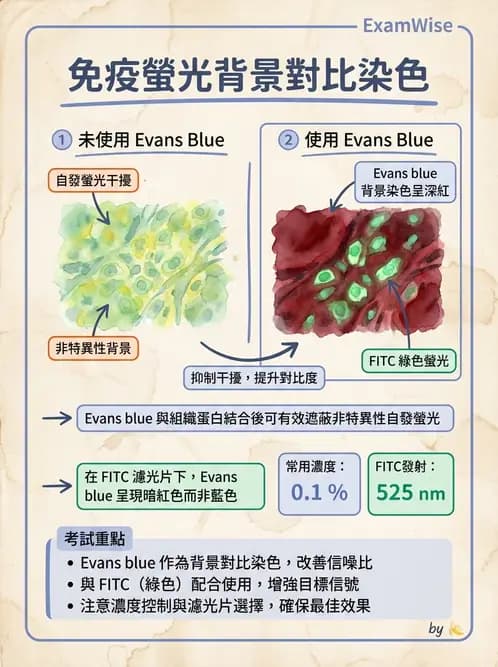 醫檢師 - 實驗室測試免疫法 - AI 圖文解析預覽
