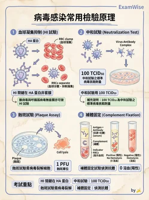 醫檢師 - 病毒檢驗技術 - AI 圖文解析預覽