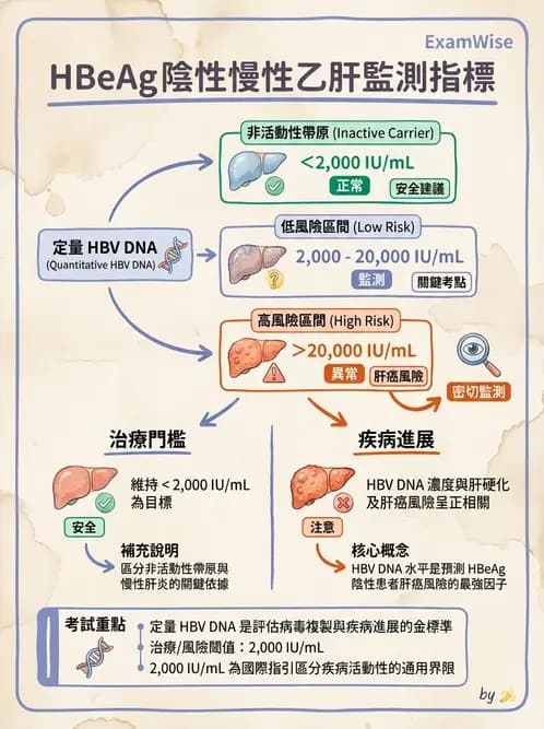 醫檢師 - B型肝炎病毒 - AI 圖文解析預覽
