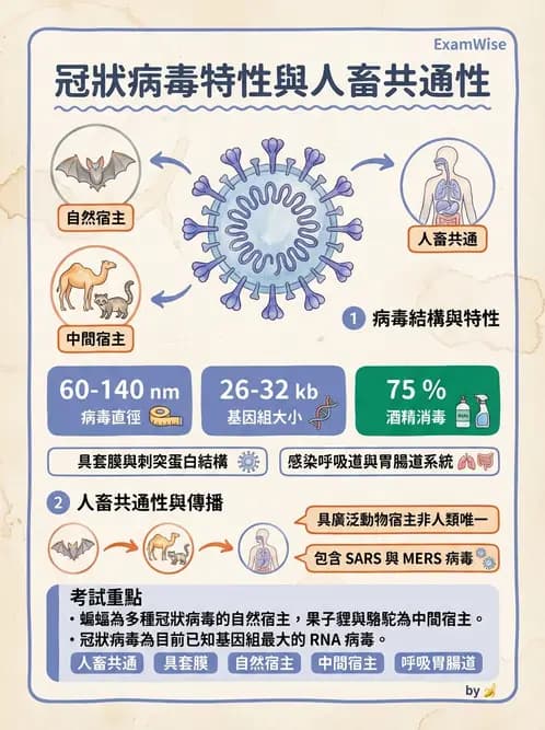 醫檢師 - 冠狀病毒科 - AI 圖文解析預覽