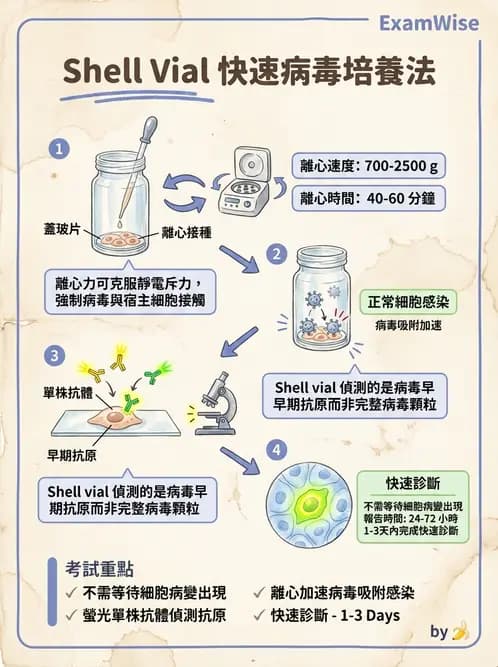 醫檢師 - 病毒檢驗技術 - AI 圖文解析預覽