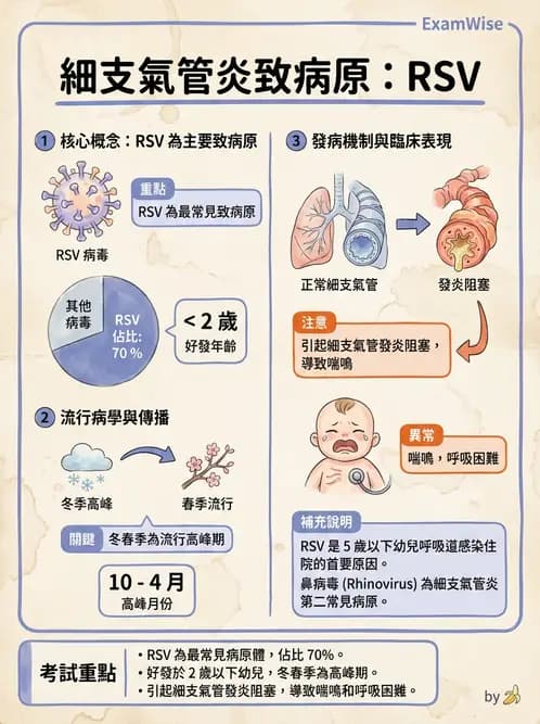 醫檢師 - 副黏液病毒科 - AI 圖文解析預覽