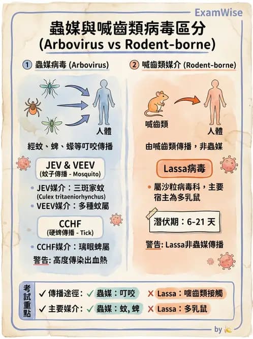 醫檢師 - 黃病毒科與蟲媒病毒 - AI 圖文解析預覽