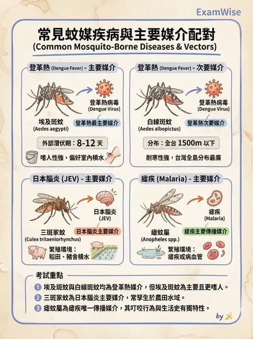 醫檢師 - 黃病毒科與蟲媒病毒 - AI 圖文解析預覽