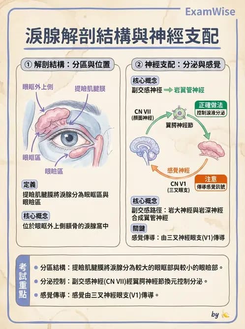 驗光師 - 眼附屬系統 - AI 圖文解析預覽