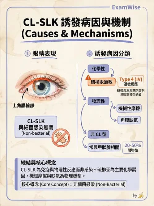 驗光師 - 結膜眼瞼反應、沉澱物與乾眼 - AI 圖文解析預覽