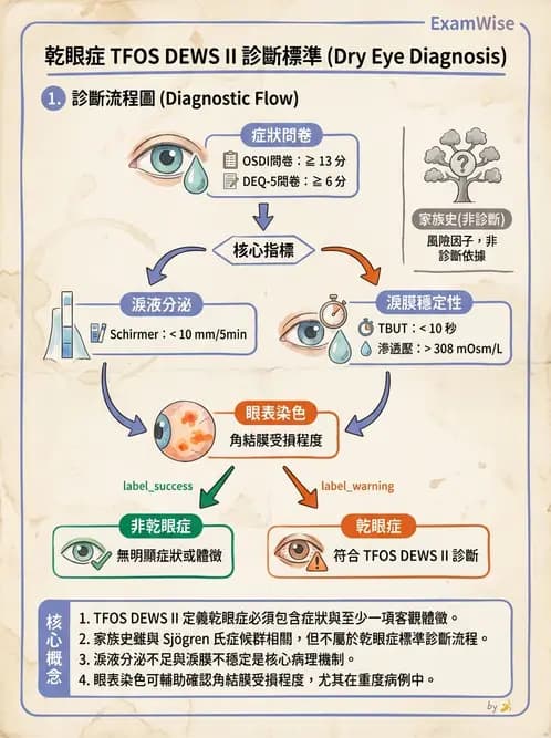 驗光師 - 角膜退化疾病與眼表問題 - AI 圖文解析預覽