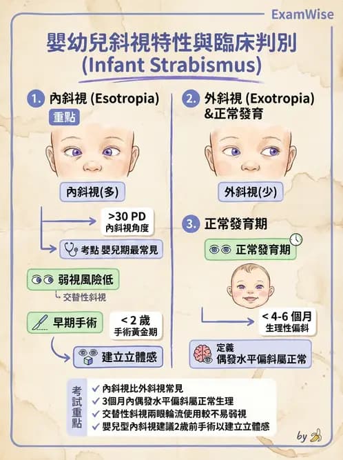 驗光師 - 斜弱視與神經眼科 - AI 圖文解析預覽