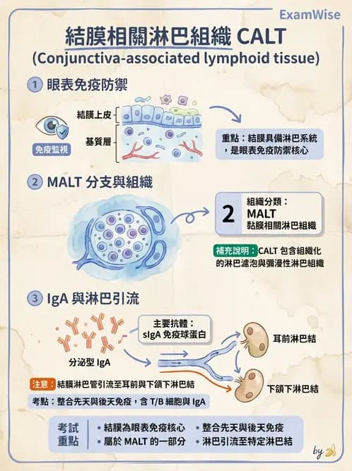 驗光師 - 眼附屬系統 - AI 圖文解析預覽