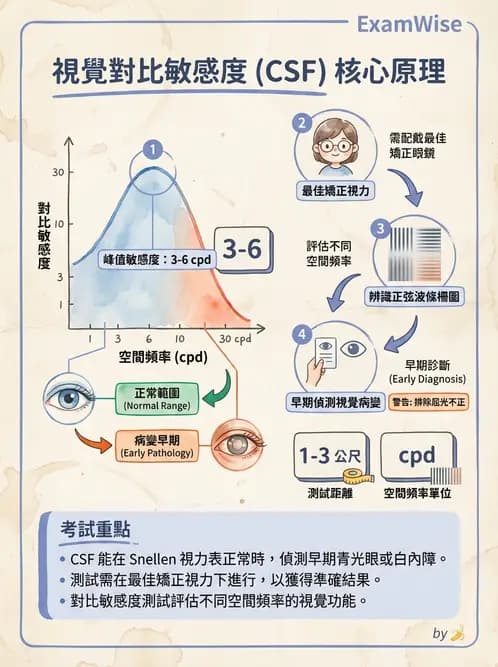 驗光師 - 視覺生理與檢查 - AI 圖文解析預覽