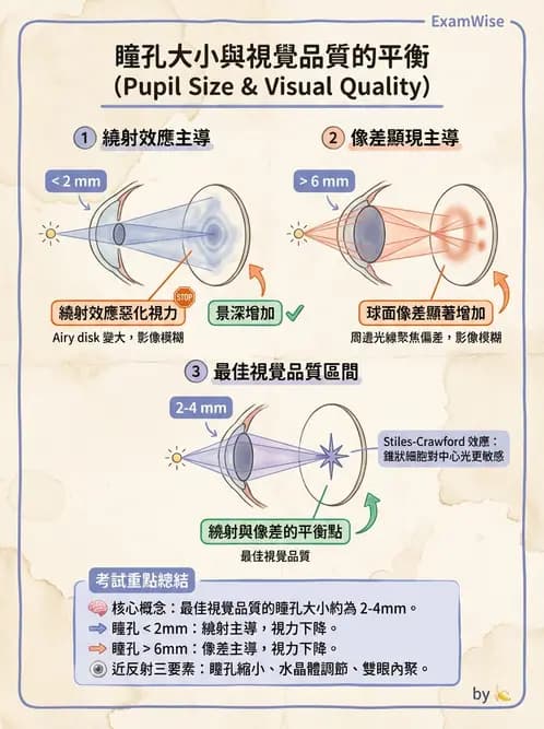 驗光師 - 視覺生理與檢查 - AI 圖文解析預覽
